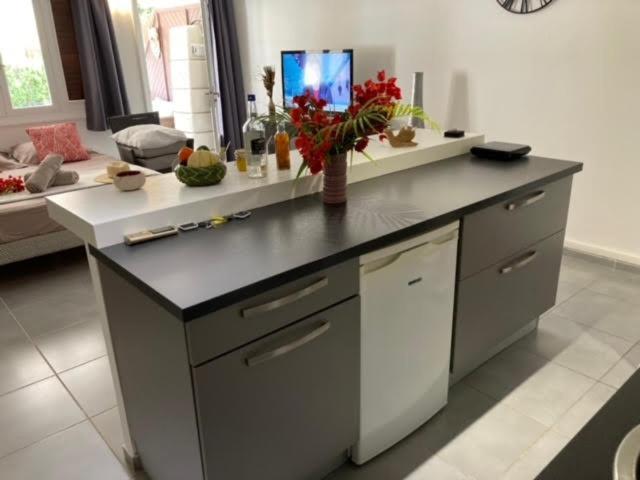 Appartement Tit'iguane Sainte Marthe