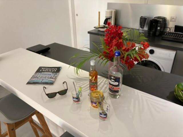 Appartement Tit'iguane Sainte Marthe *